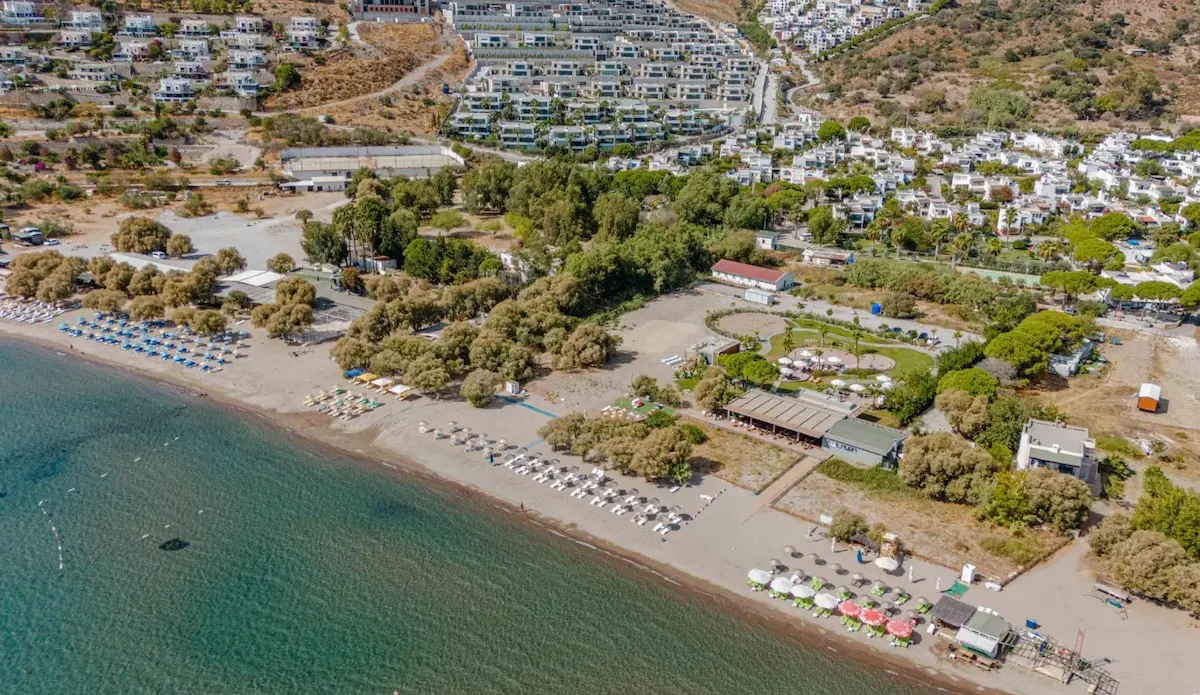 Beach area